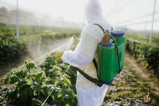 Best Mosquito Control Services  in South Pottstown, PA